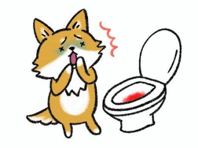 血便が出たら放置しないで!痔だけとは限りませんのアイキャッチ画像